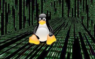 Выявлен троян-шифровальщик, направленный на ОС Linux